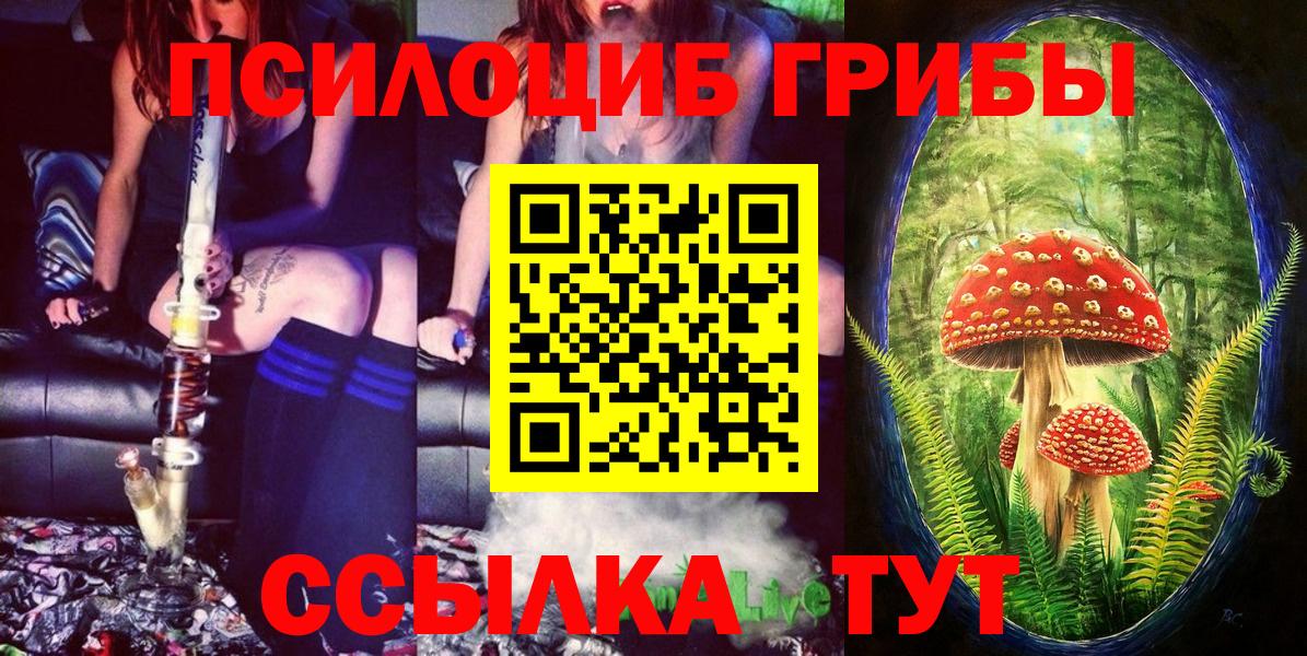 Псилоцибиновые грибы мицелий  купить наркотик  Корсаков  Вход с VPN 
